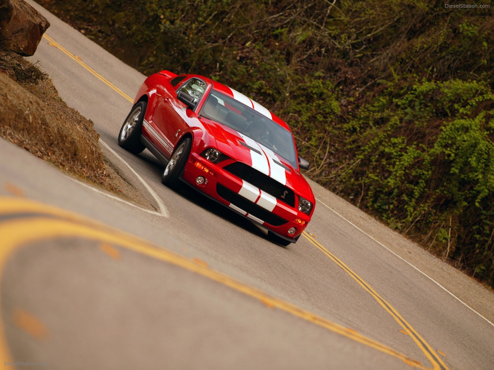 Ford Shelby Cobra GT500